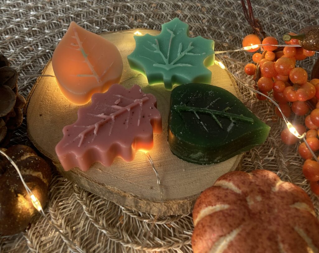 Waxmelts herfstblaadjes 'Enchanted Forest'